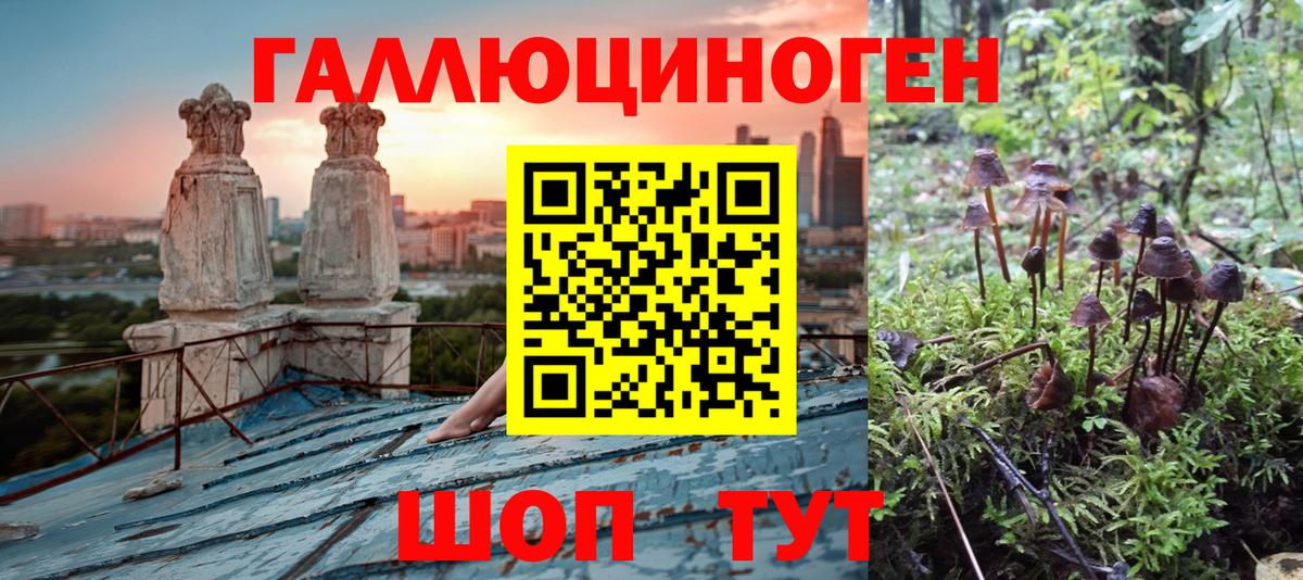 Рязань  Псилоцибиновые грибы GOLDEN TEACHER  Вход с VPN 